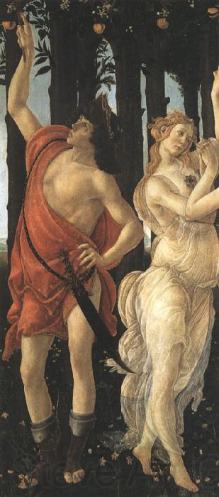 Sandro Botticelli Primavera (mk36)